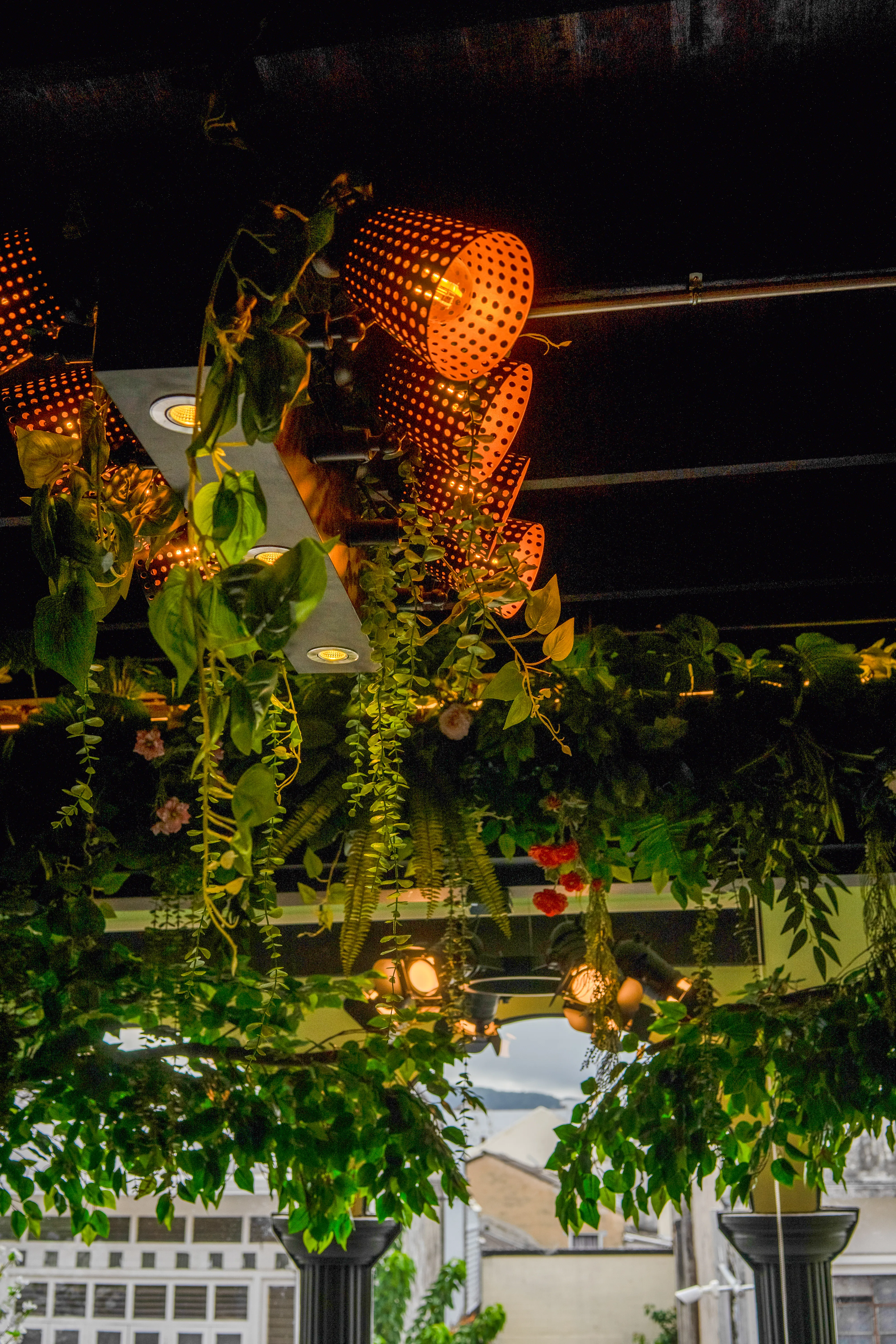 Café Lounge — Reading Corner