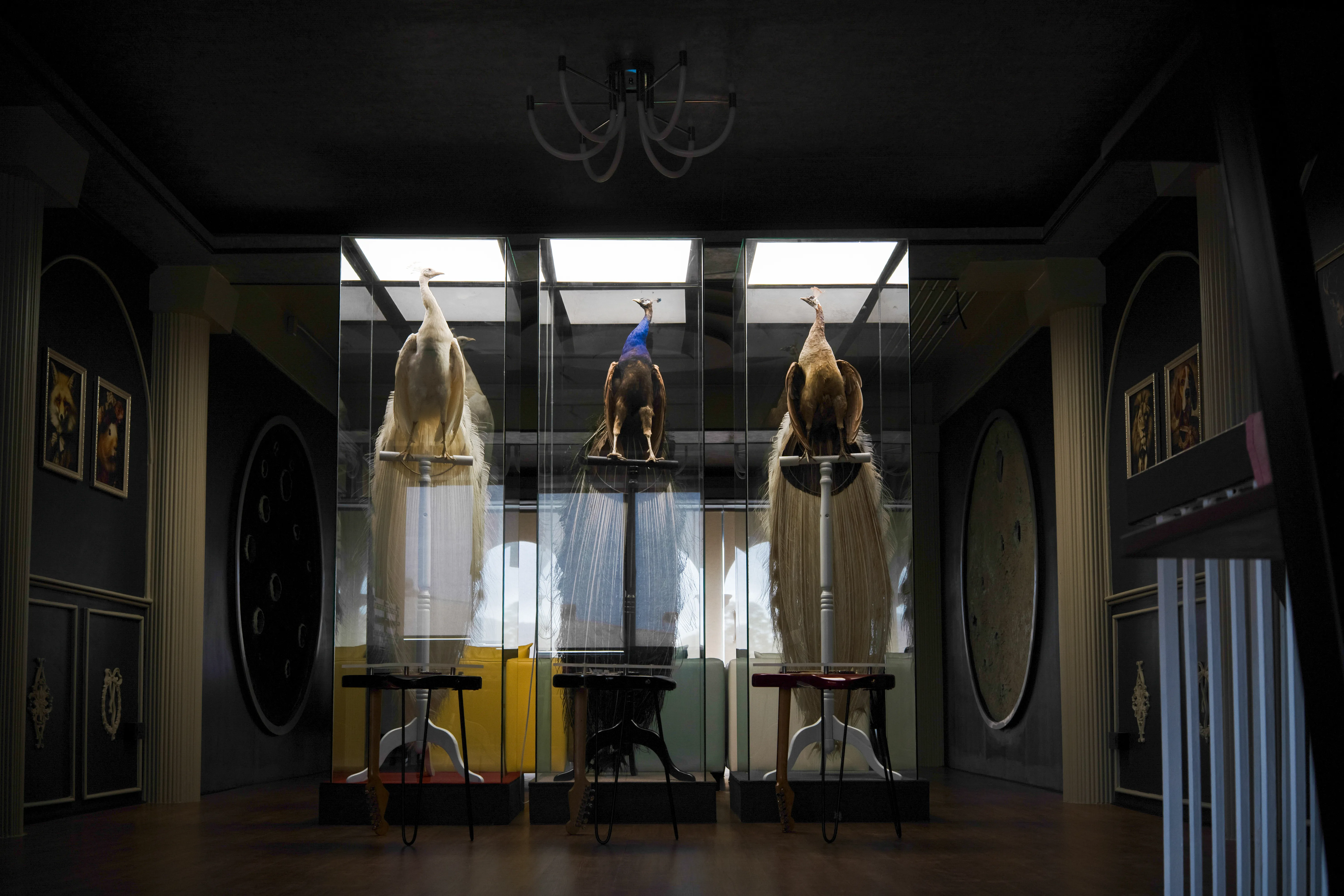 Rooftop Terrace — Pastel Facades